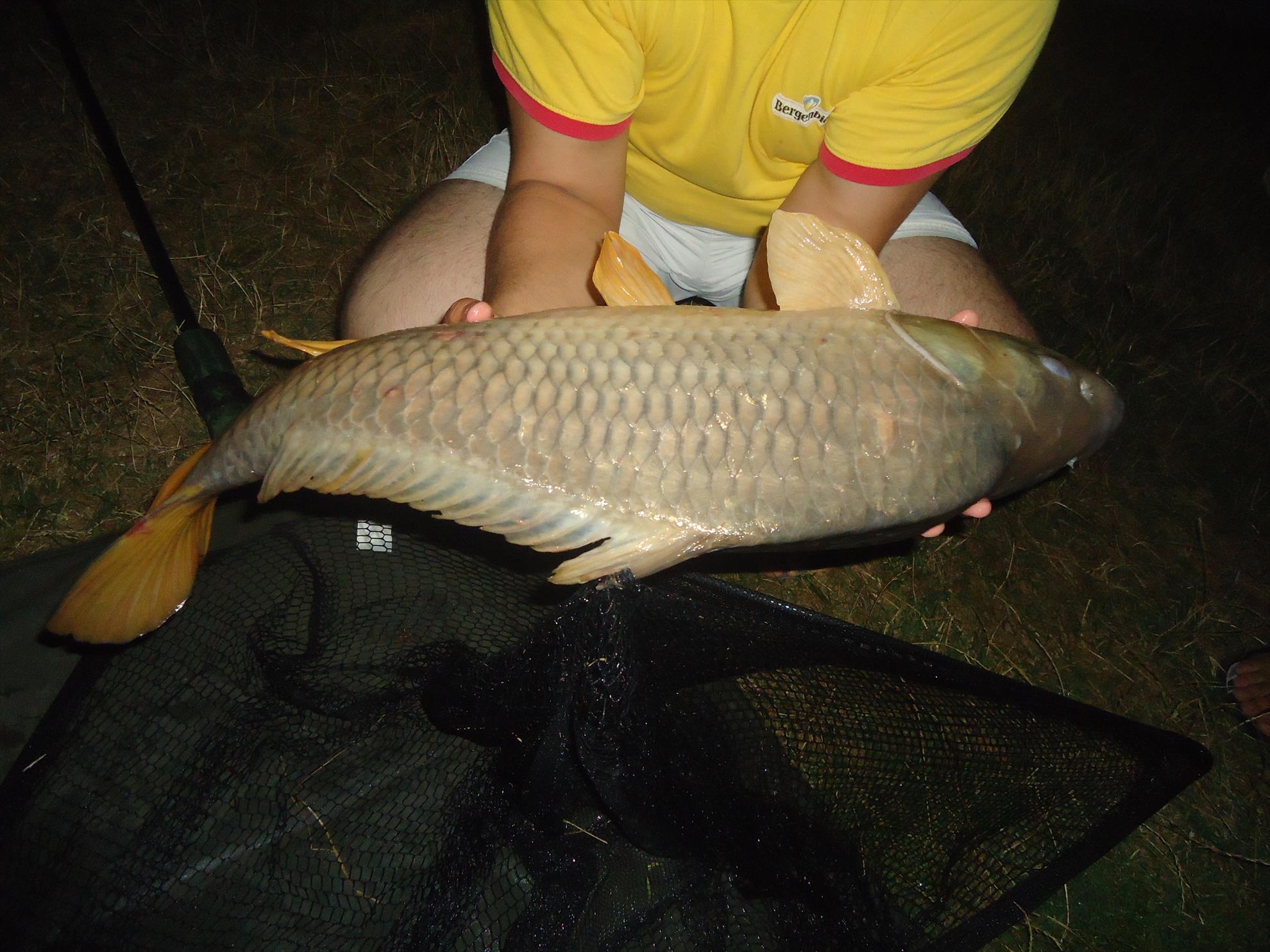 Moara vlasiei 26-27-08-2013 - dsc03873.JPG